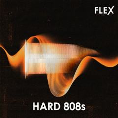 FLEX | Hard 808s Demo 1 by MSXII