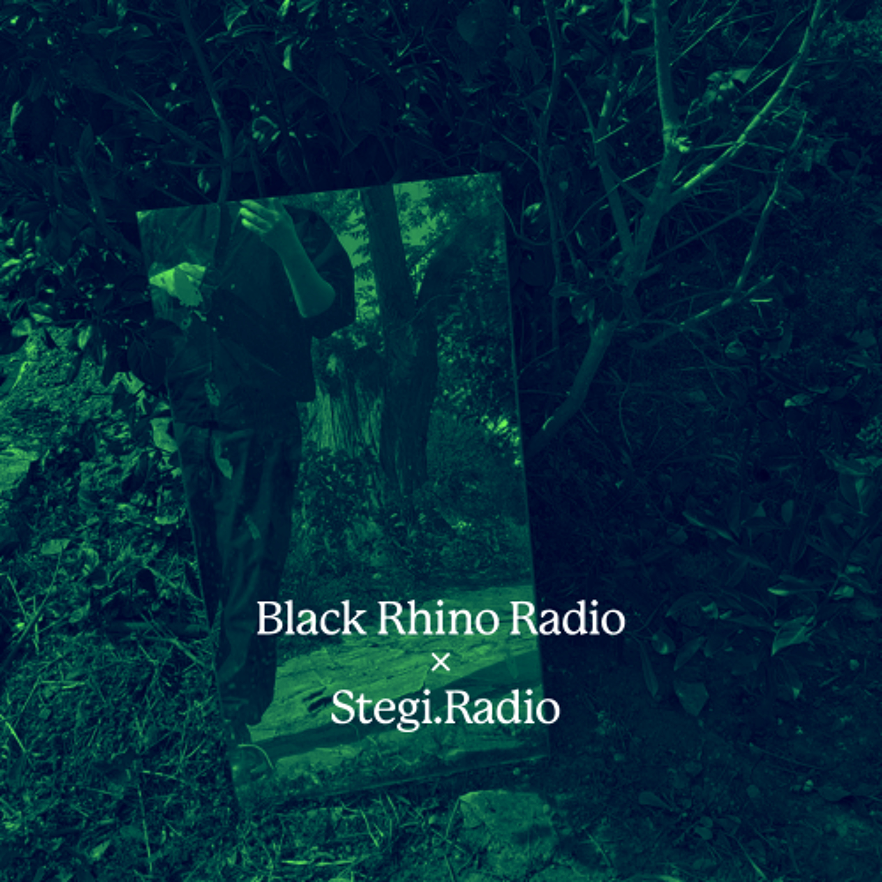 Black Rhino x Stegi: Radio Exchange w/ Halcyon Days (24.05.2026) episode artwork
