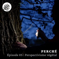 PERCHÉ - Épisode 05 : Perspectivisme végétal