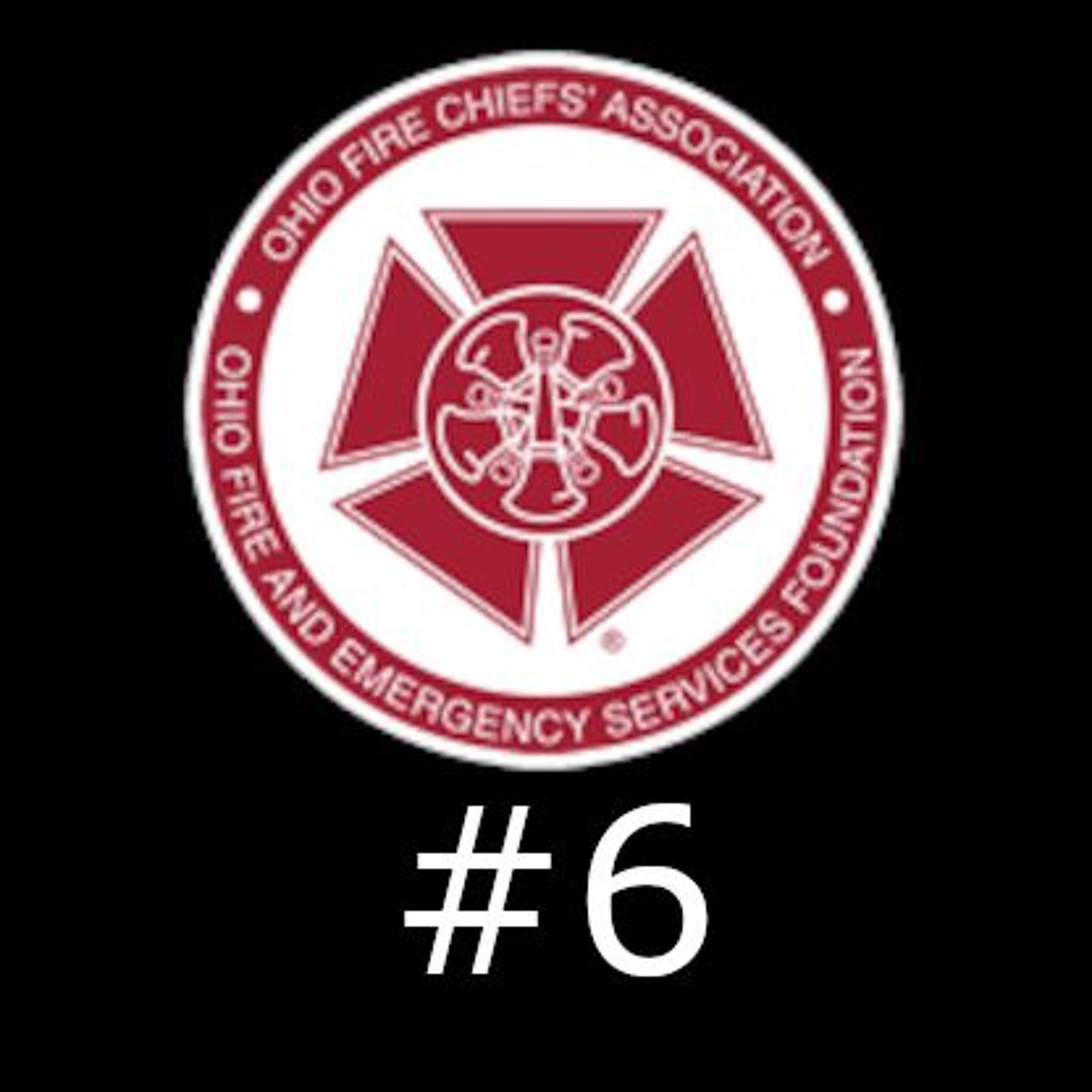 Episode 6 - Part 2 - Chief Steve Agenbroad - The Officers Guide to Managing Criticism episode artwork
