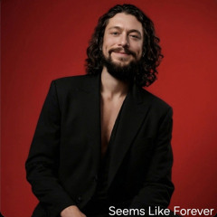 Seems Like Forever (Remix)