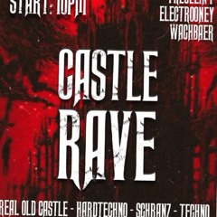 Wachbär@CastleRave01.03.25.