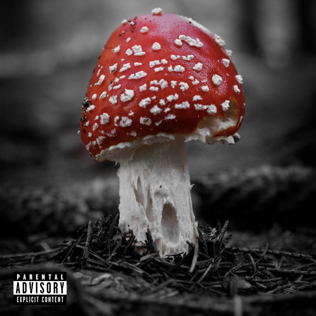 Fungus