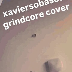xaviersobased elibanss pirate flip