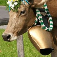 DMC Quincy feat. Bizzy DumDum  U cant C