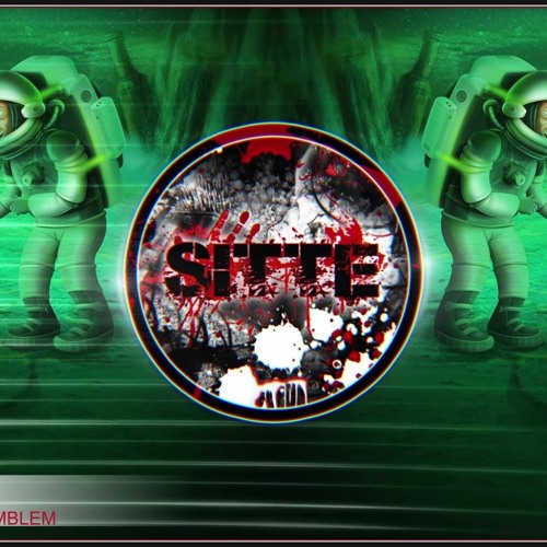 Heineken Emblem - Sitte