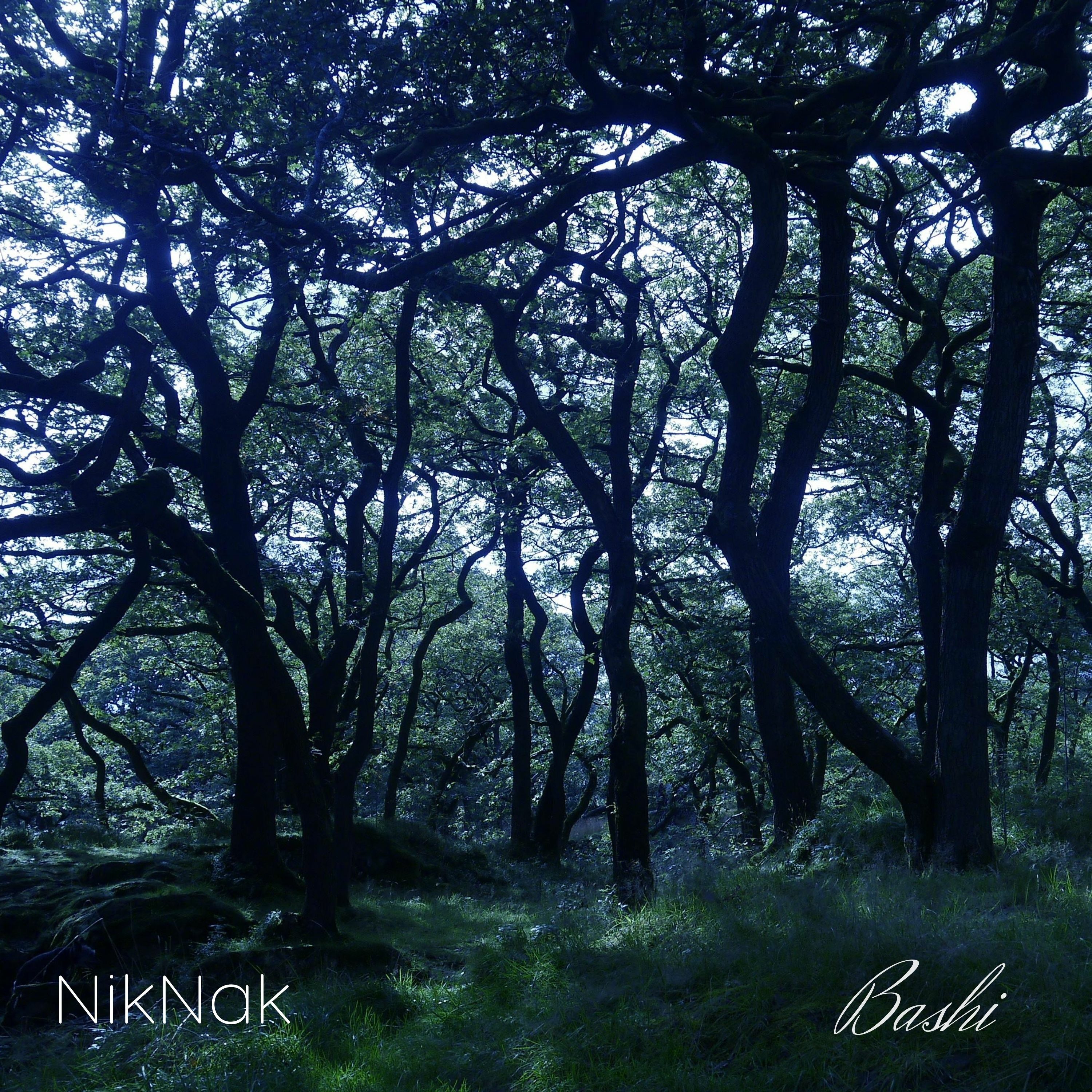 NikNak
