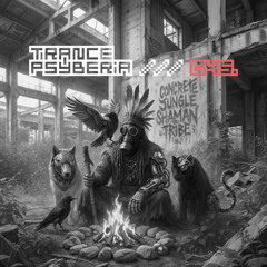 Trance Psyberia /// 045.