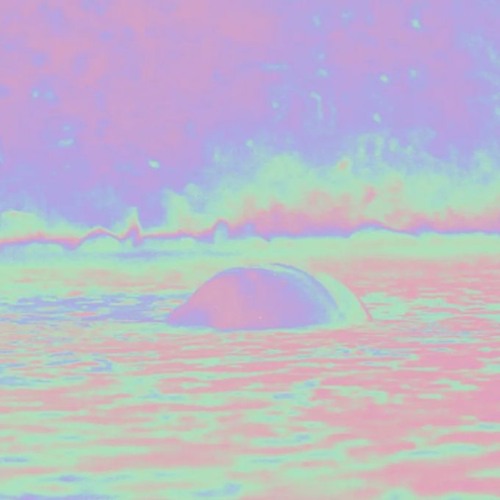 Olmo - Whatever Works (Polygonia Remix)