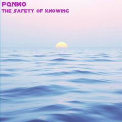 The Safety of Knowing