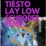 Tiësto - Lay Low (SCHRODER Mainstage Remix)