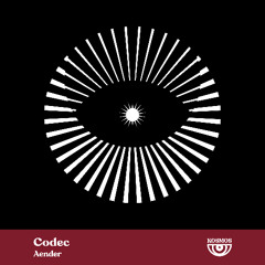 Aender - Codec (Rauschhaus Remix) [KOSMOS]