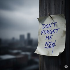 Don't Forget Me Now