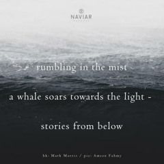 haiku #326: rumbling in the mist / a whale soars towards the light - / stories from below