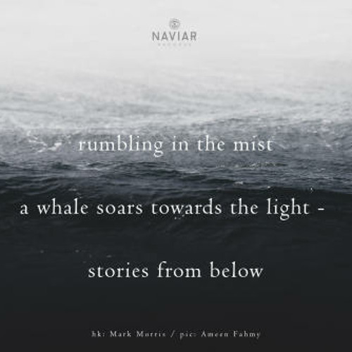 haiku #326: rumbling in the mist / a whale soars towards the light - / stories from below