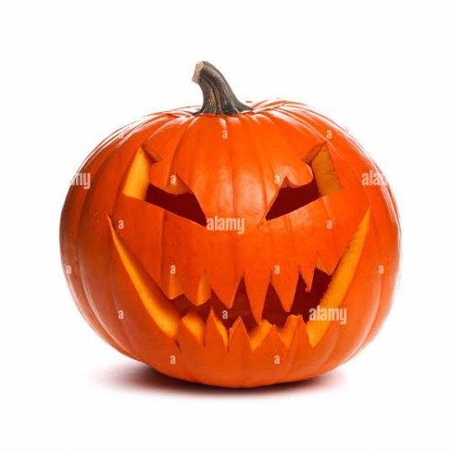 champagne on the 31st