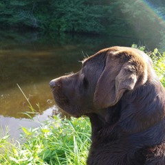 old dick's sporting goods parking lot