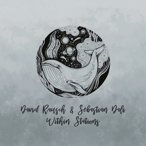 David Rausch & Sebastian Dali - Less [trndmsk]