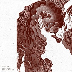 Tochra - Revercid (Vector Field Remix)