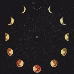 Wooks Under the Flowmoon 🌙