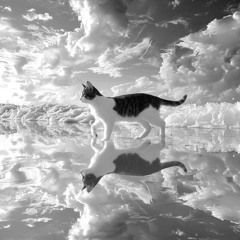 Shadow Cat - Prod. by Kike Gutz | Boom Bap | 120 BPM | F Minor