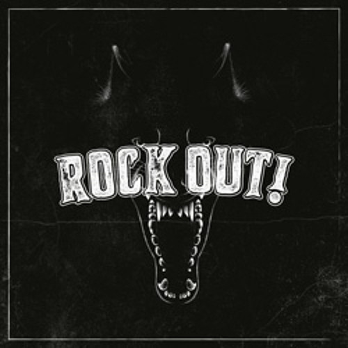Rock Out - VPN FLEX
