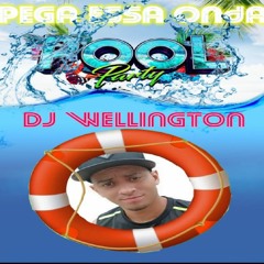 Pool Party  - Pega Essa Onda ( Bday Gleizer e Eighor)