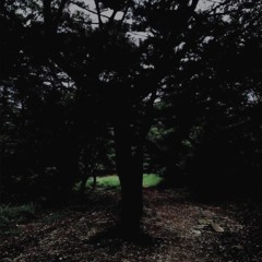 성