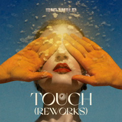 Touch (Remix)