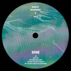PREMIERE: Brine - Get The Party Started (Blazers Remix) [Sengiley Rec.]