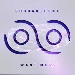 Sobbar, Fenk - Want More (Original Mix)