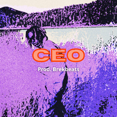 CEO - BUY 1 GET 2 FREE | TRAP x Yeat type beat x Don Toliver type beat