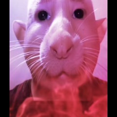 TIMELESS ULTIMATE DELUXE VERSION PT 2