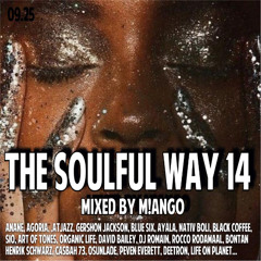 THE SOULFUL WAY 14 EXTENDED