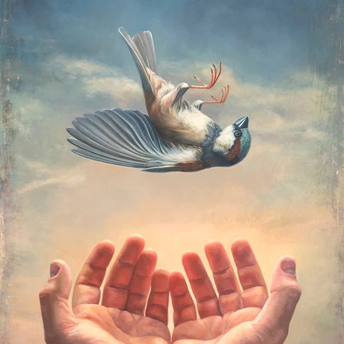 GRACE OF A SPARROW (Prod. By NEVERR)