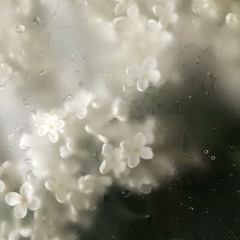 waitingintherain (formless.)