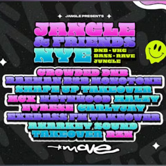 Jangle and Friends NYE 2025 - Promo Mini Mix