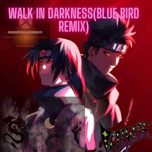 Walk In Darkness(Blue Bird Remix)