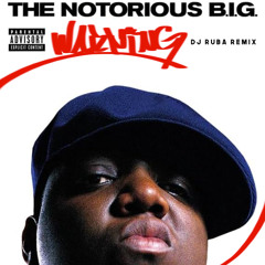 Warning (Dj Ruba Remix)