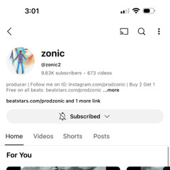 the beat made by zonic