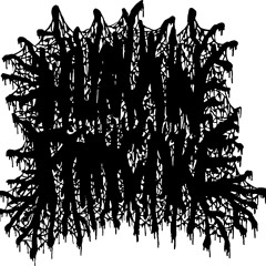 05 Transfer Of Septic Body Fluids From The Punctured Intestine Into The Hepatic Portal Vein
