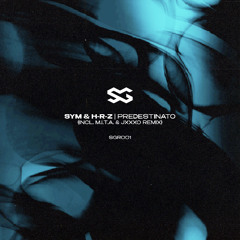 SYM & H-R-Z - Il Predestinato (Original Mix)