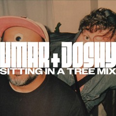 Sitting in a Tree Mix