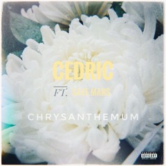 Chrysanthemum Ft. Save Mars