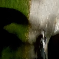 DEPECHE MODE//fragile tension//remix remake woo hoo on my phone