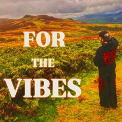 For The Vibes 'Freestyle' (Prod @salvpimp)