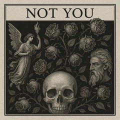 Not You (prod. seye)