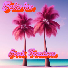 Fake Luv <3 (Prod.Twontwon)