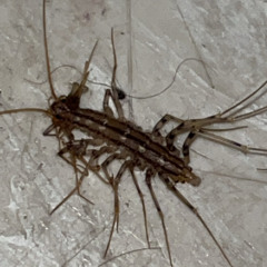 Change Is Never Good