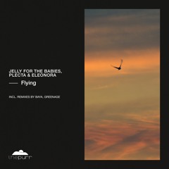 Jelly For The Babies, Plecta, Eleonora - Flying (Original Mix) [The Purr]